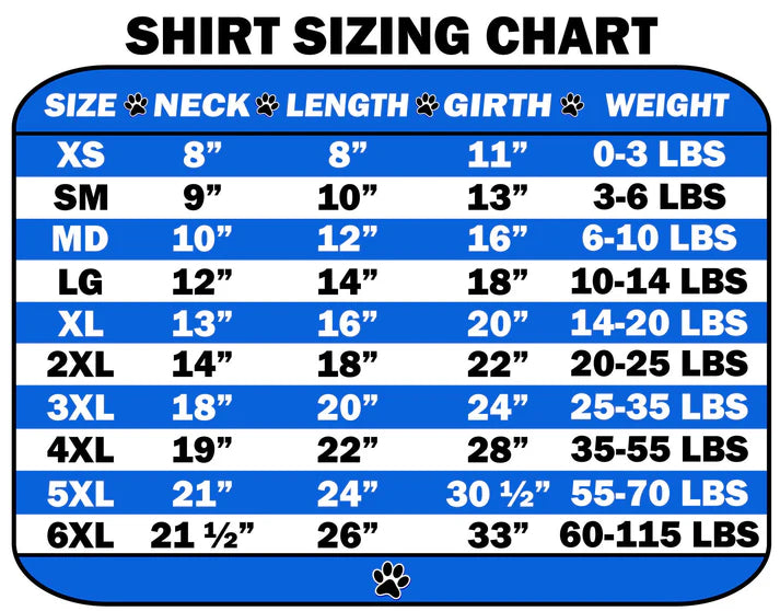 PET-T-Shirt